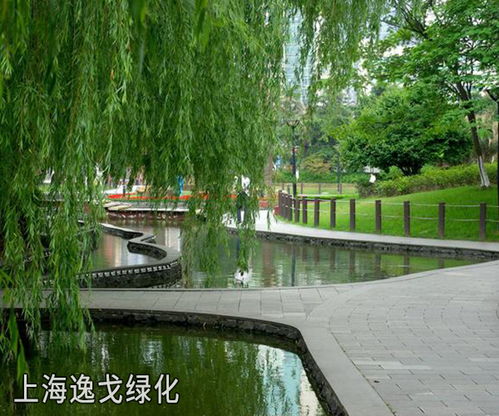上海长宁园林绿化施工
